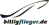 billigflieger.de