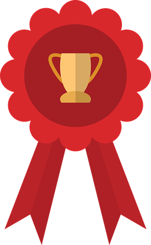 Honourable Mention Award = 5% of accepted papers